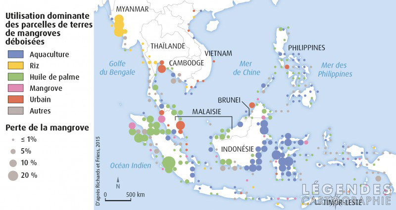La disparition des mangroves