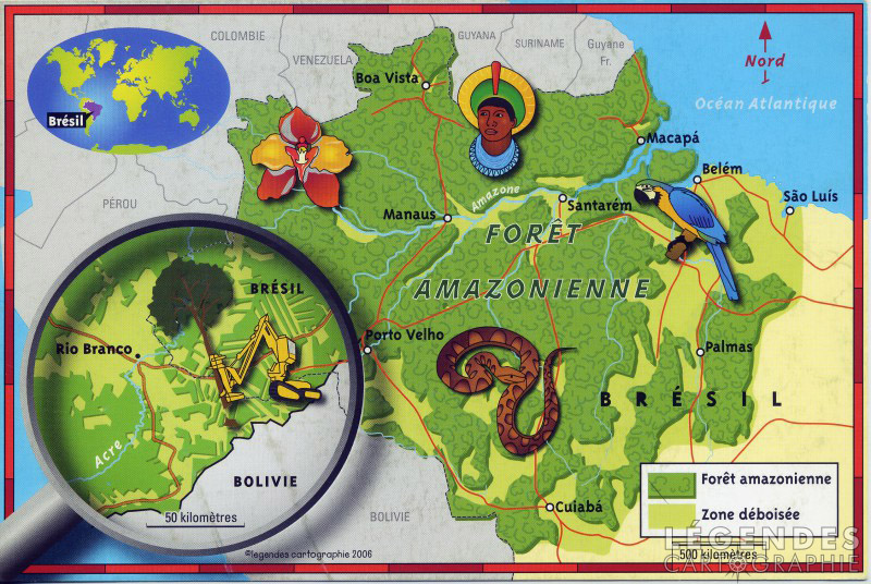 La forêt amazonienne